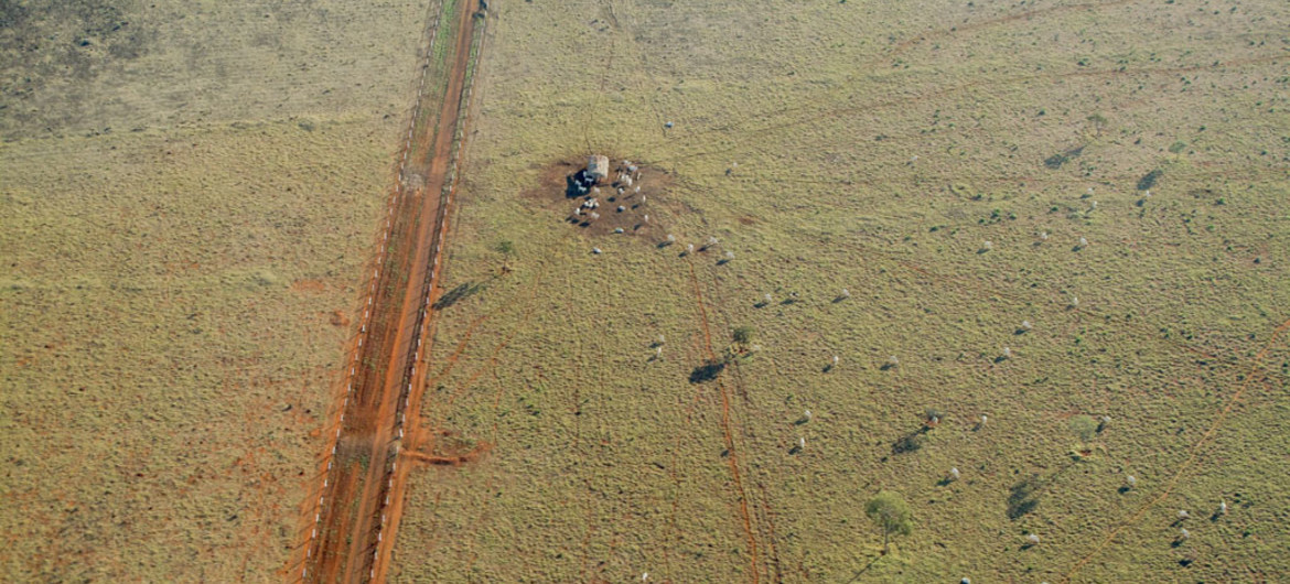 Novo acordo quer melhorar combate a crimes que devastam recursos na Amazônia Novo acordo quer melhorar combate a crimes que devastam recursos na Amazônia