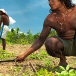 Comunidades locais e indígenas tocarão projetos de conservação do Cerrado