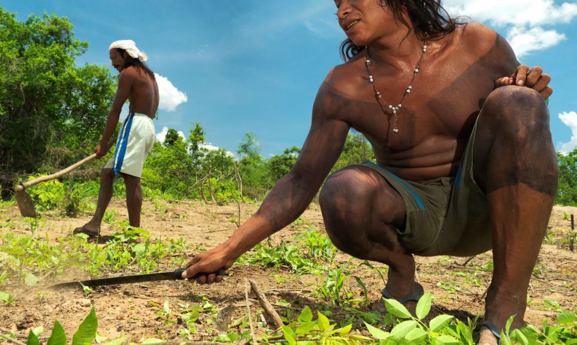 Comunidades locais e indígenas tocarão projetos de conservação do Cerrado Comunidades locais e indígenas tocarão projetos de conservação do Cerrado