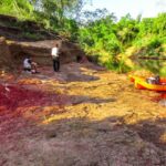 Dinossauros viveram em Mato Grosso do Sul numa região fronteiriça a deserto