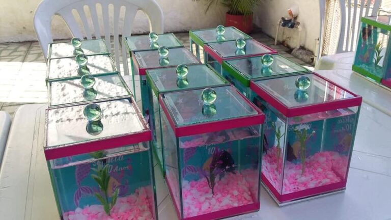 Lei proíbe oferta de animais vivos como meio de atrair público para lojas e eventos