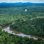 Crime ambiental no Brasil aumenta com desmonte da fiscalização e rito jurídico problemático