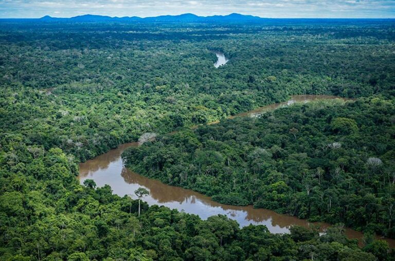 Crime ambiental no Brasil aumenta com desmonte da fiscalização e rito jurídico problemático