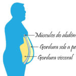 Estudiosos desenvolvem calculadora online da gordura que adultos armazenam na barriga