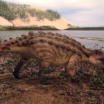 Arma de cauda do anquilossauro descoberto no Chile o diferencia de outros dinossauros