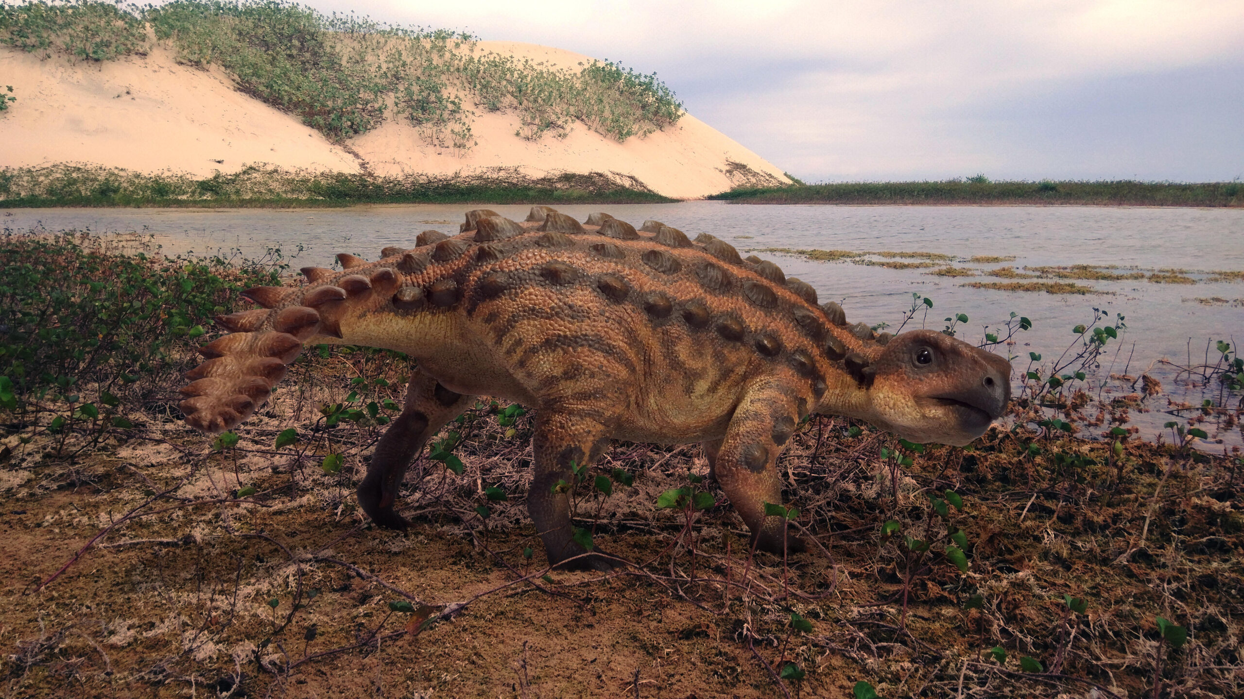 Arma de cauda do anquilossauro descoberto no Chile o diferencia de outros dinossauros Arma de cauda do anquilossauro descoberto no Chile o diferencia de outros dinossauros